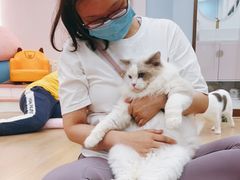 -1013 PET SHOP 宠物商店(近铁城市广场店)