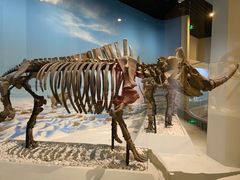 -国家自然博物馆