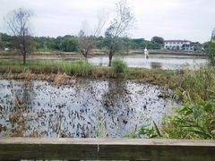 -嬉子湖生态旅游区