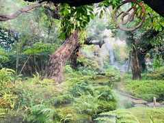 -Chom Cafe and Restaurant