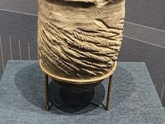 -盘龙城国家考古遗址公园