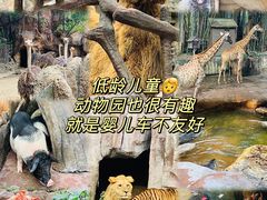 -长鹿旅游休博园