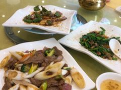 -鸿达渔港