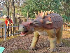 -上海海湾国家森林公园