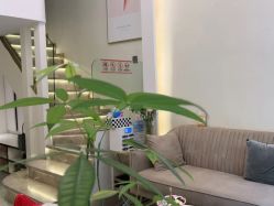 -MIDA蜜哒•科技逆龄美肤连锁