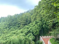 -莫干山风景区