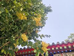 -天津市峰山药王古寺