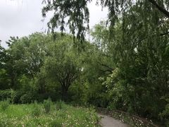 -新江湾城公园