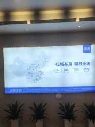 -碧莲盛·不剃发植发