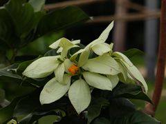-深圳湾公园(南山区)