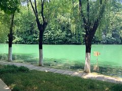 -天鹅湖体育公园