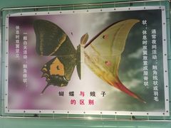 -上海昆虫博物馆