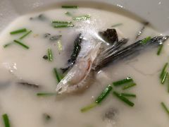 -老傅家湘潭水煮活鱼店(众一国际店)