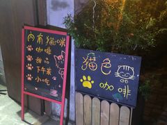 -猫色咖啡·猫咖