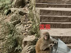-黔灵山公园