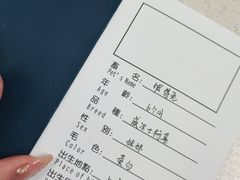 -申普宠物医院·心脏介入·心血管微创(总院)