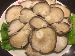 -芦月轩羊蝎子(北蜂窝店)