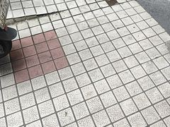 -广州希尔顿逸林酒店-OPEN開·全日制餐厅·海鲜·小火锅·自助餐(东风路店)