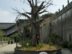 -南京市江宁方山