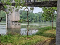 -东湖落雁景区
