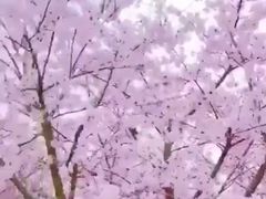 -武汉大学-樱园