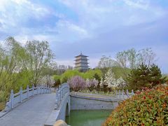 -西安世博园