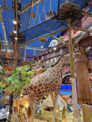 -卡通尼·Safari非洲探索乐园·生日会(金桥国际商业广场店)