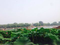 iphone_upload_pic-小王府(什刹海店)