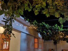 -ZING鲸鱼啤酒(葡萄院店)