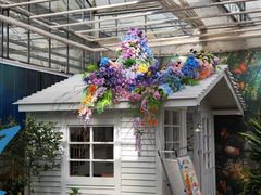 -上海鲜花港