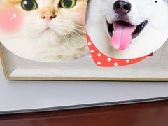 -iF摄影•全家福•证件照•形象照(南山店)