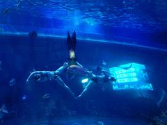 -华夏文旅海洋公园