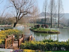 -龙吟九品(青龙山庄店)