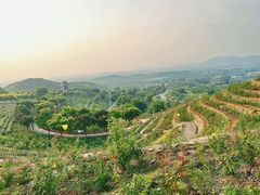 -密云玫瑰情园