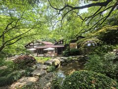 -中国茶叶博物馆(双峰馆区)