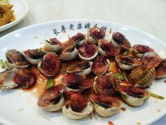 血蛤-长平老姿娘夜粥(平东一街店)
