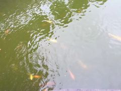 -冯子材故居