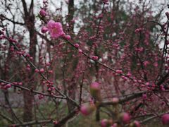 -北京大学(昌平校区)