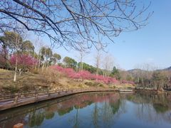 -黄陂区野村谷景区