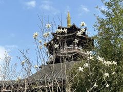-洋湖国家湿地公园