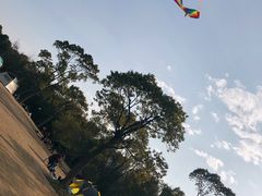 -吴淞炮台湾湿地森林公园烧烤区