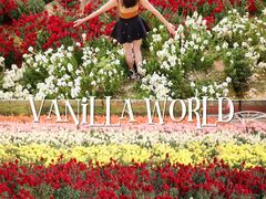 -广东花都香草世界旅游度假区