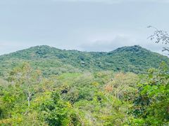 -三亚亚龙湾金棕榈度假酒店