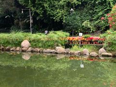 -金鸡山公园
