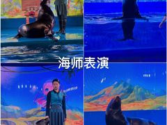 -欢乐海岸海洋奇梦馆