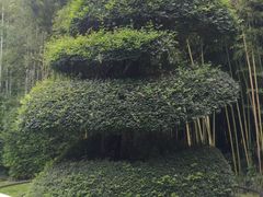 -苏州河梦清园环保主题公园