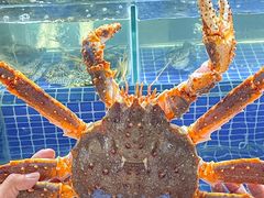 -大东海海鲜酒楼(渔人码头总店)