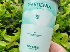 -爷爷不泡茶NOYEYENOTEA(武汉佰港城创始店)