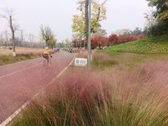 -白鹭湾湿地公园