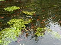 -水磨沟公园